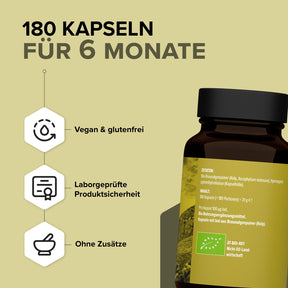 Iod Kapseln – aus reinstem Bio-Kelp